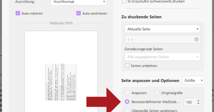 Schritt 4: Druckeinstellungen